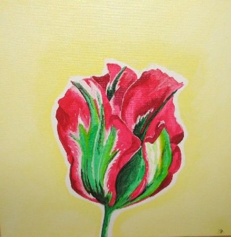 tulipe 